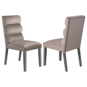 Carla Velvet Upholstered Dining Side Chair Ash (Set of 2) Carla Velvet Upholstered Dining Side Chair Ash (Set of 2)